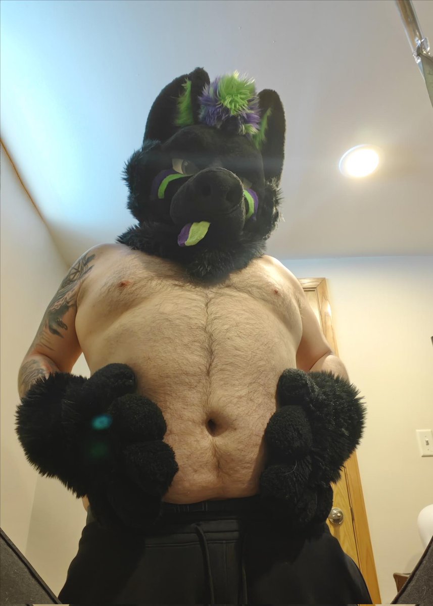 Shadow the Wusky tweet media