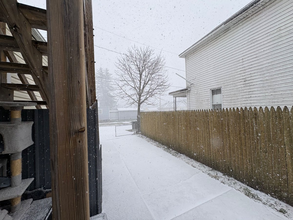 Backflipsimmons tweet media