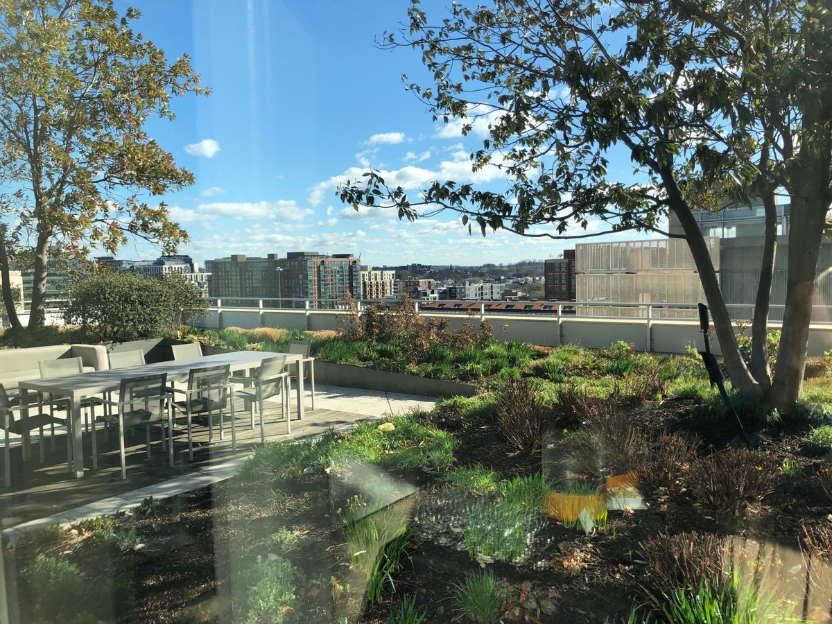 Marty Williams tweet media