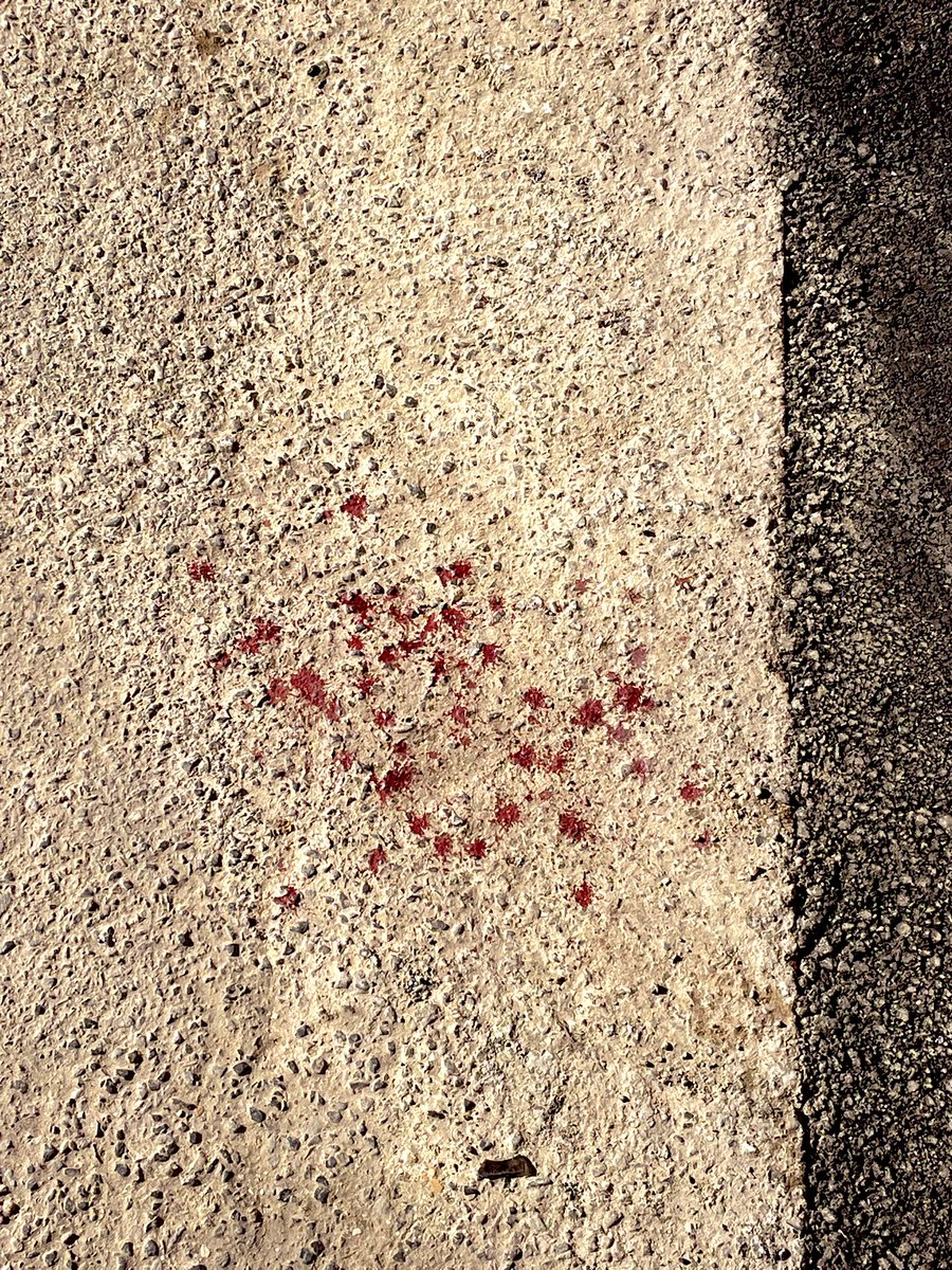 🕸️La Furie🕸️ tweet media