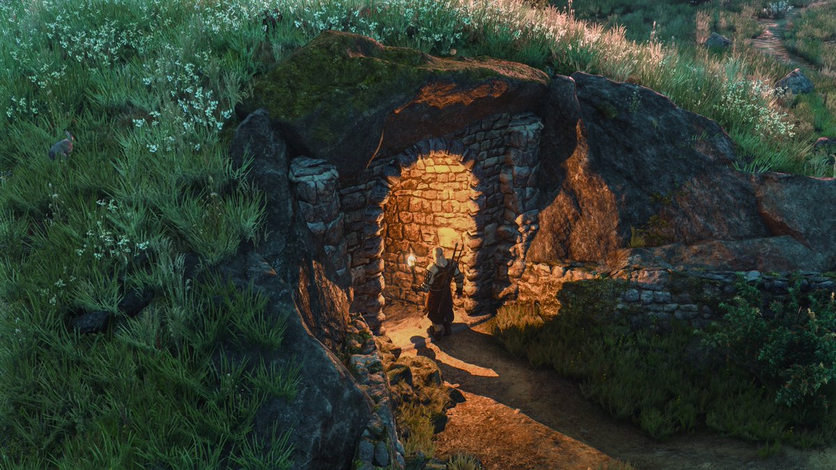 Disco 🌿🔦 tweet media