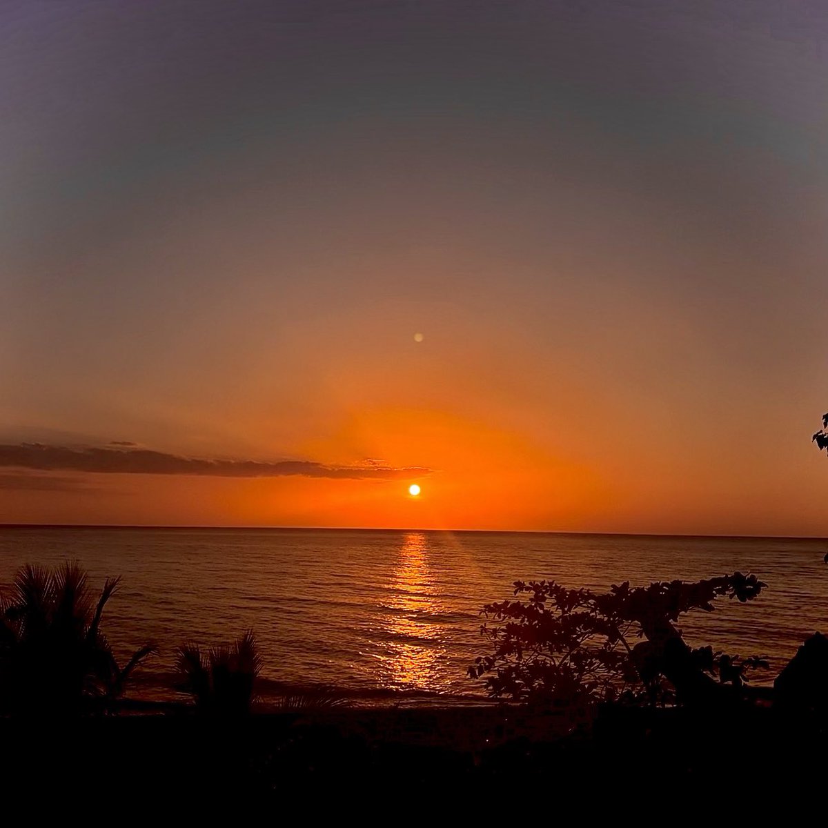 Snow ❄️ tweet media