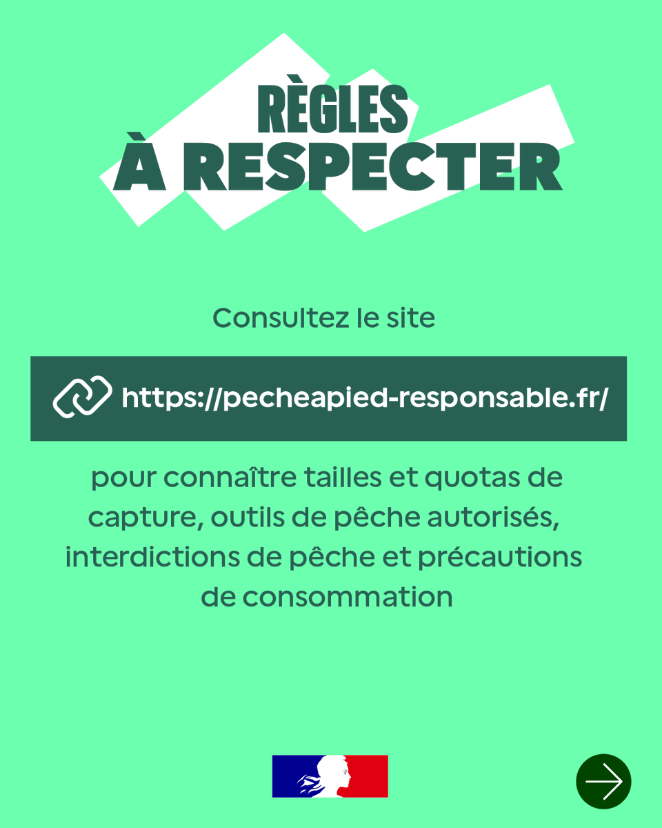 Préfet du Finistère tweet media