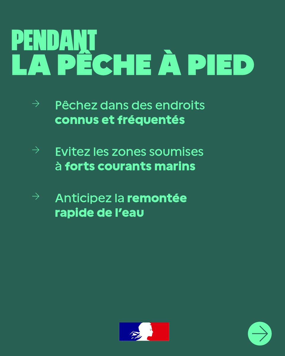 Préfet du Finistère tweet media