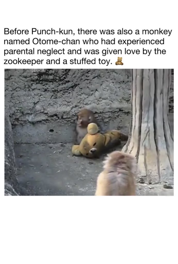 ThisIsIt tweet media