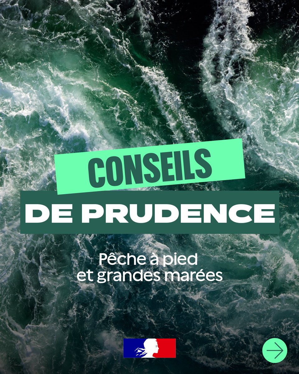 Préfet du Finistère tweet media