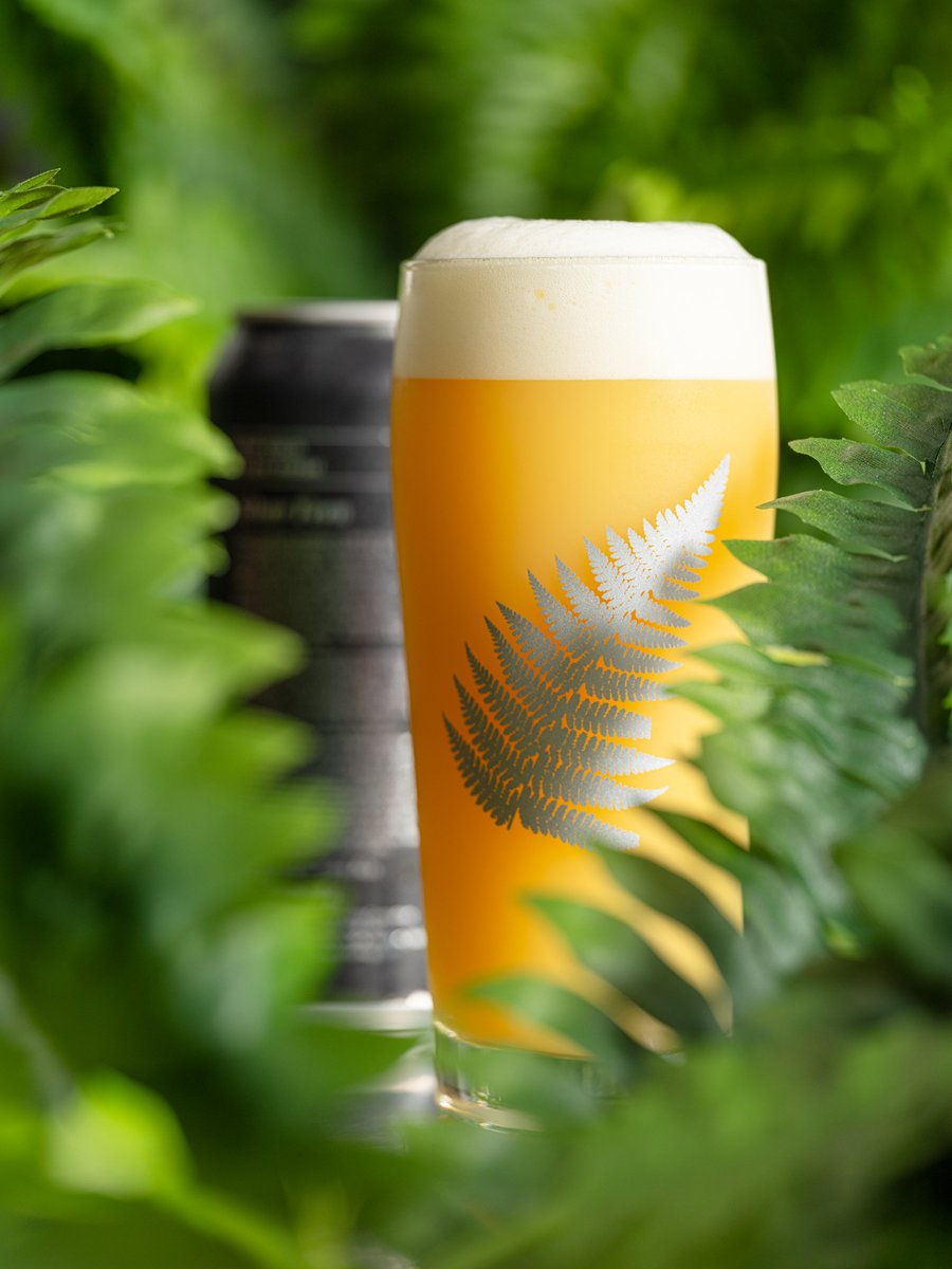 Tree House Brewing Co.🍺 tweet media