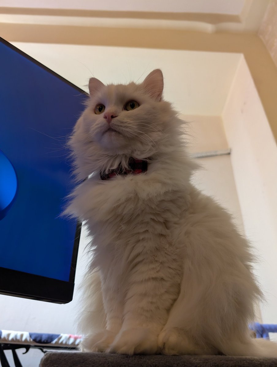 Timur Kagarmanov tweet media