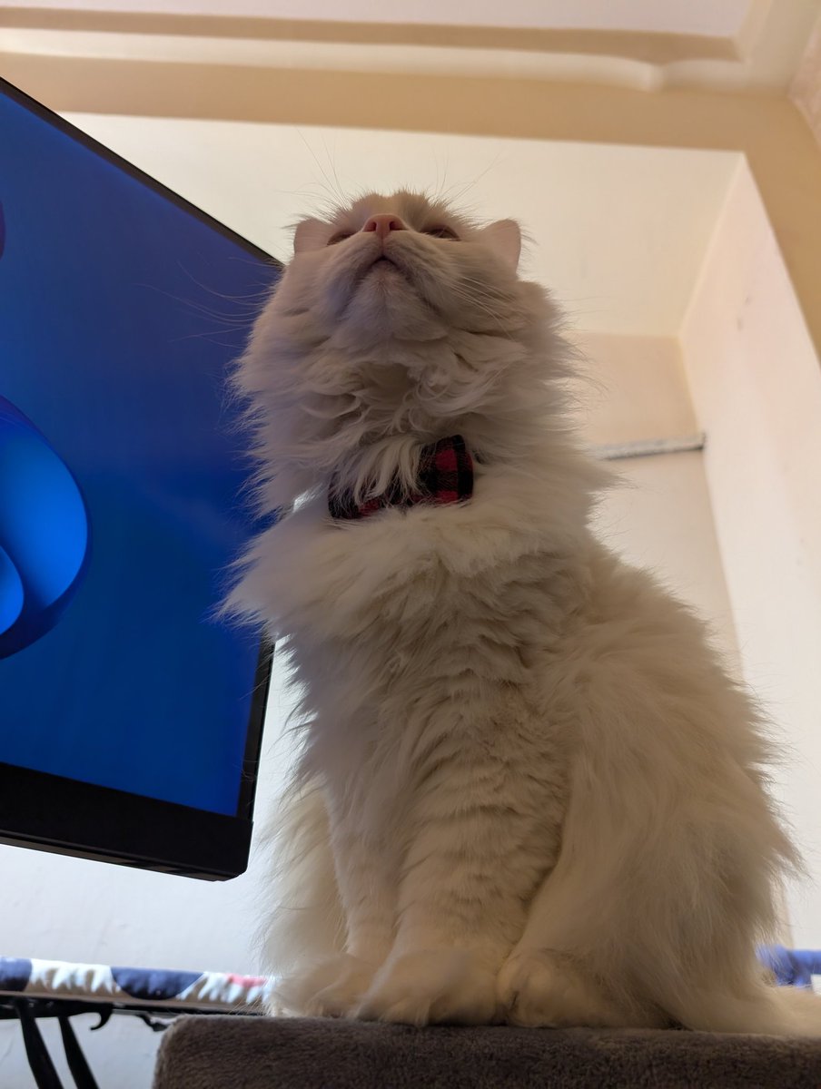 Timur Kagarmanov tweet media