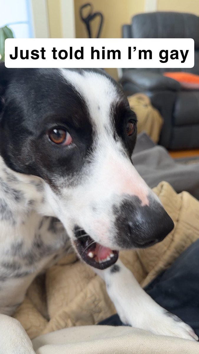 Jam! 🍓🔜 FCL, FWA tweet media