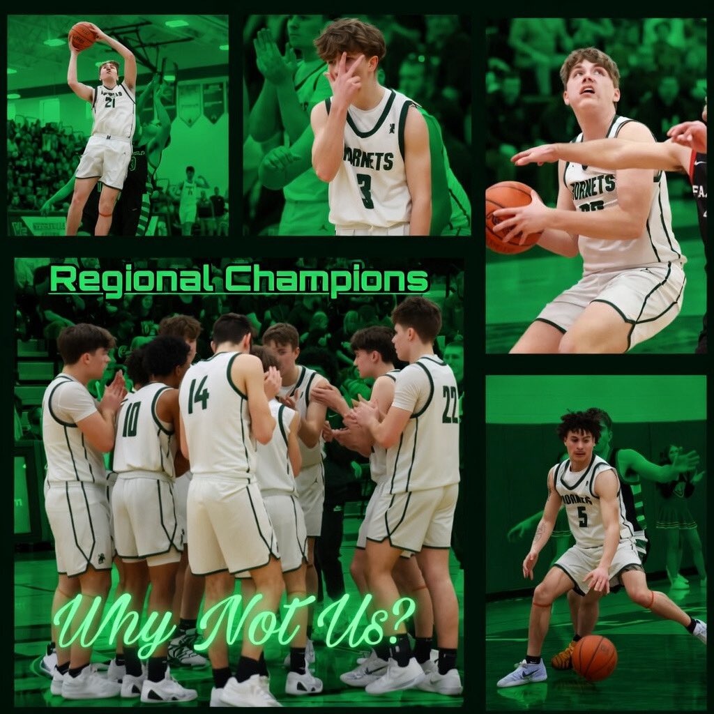 Malvern Hornets Basketball 🏀 🐝 tweet media