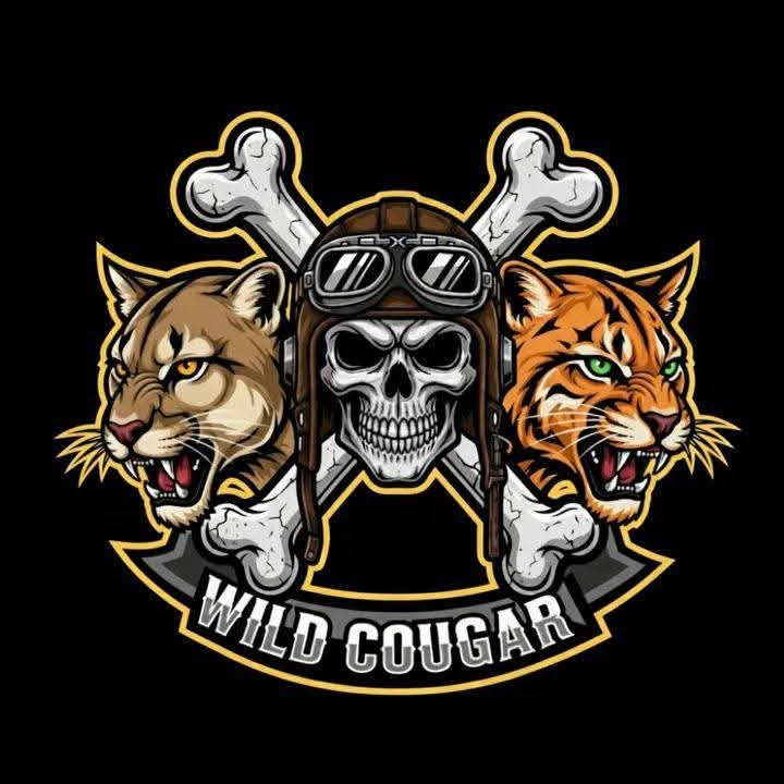 Intro Animator & GFX Designer tweet media