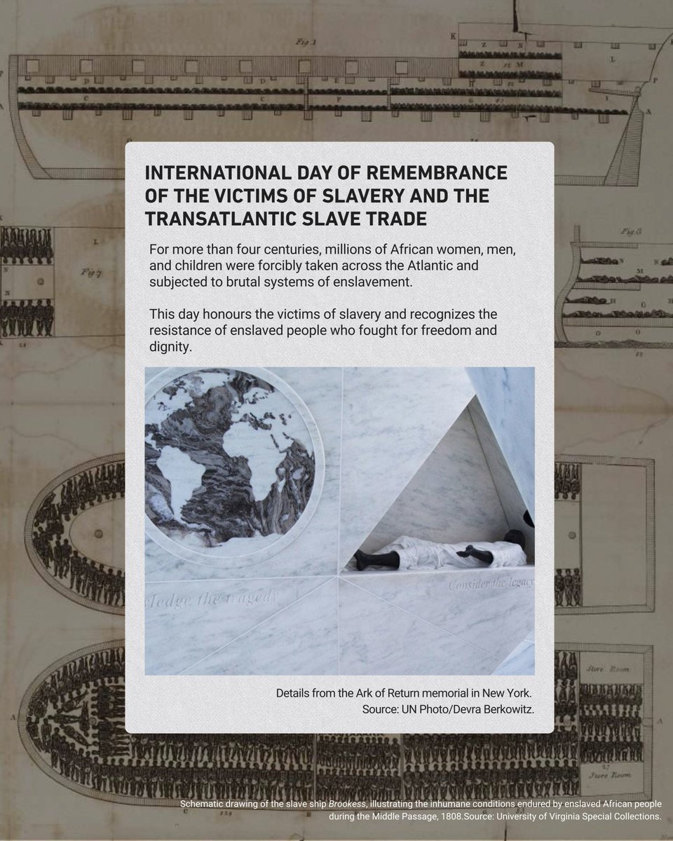 ALPHA Education tweet media