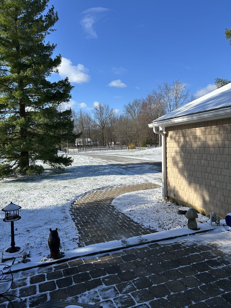 Peppy Patty from the ‘Nati tweet media