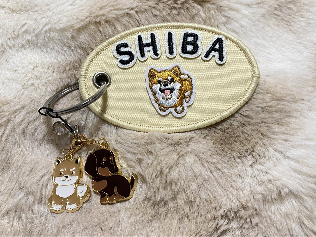 芝(撮影用) tweet media