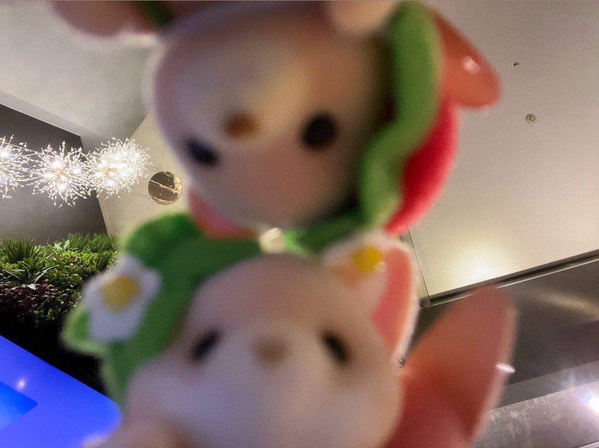 🐻‍❄️🍒 tweet media