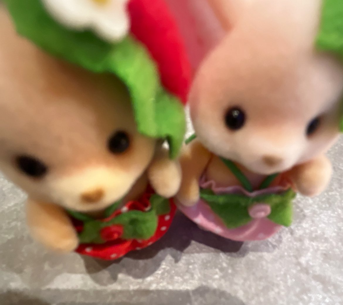 🐻‍❄️🍒 tweet media