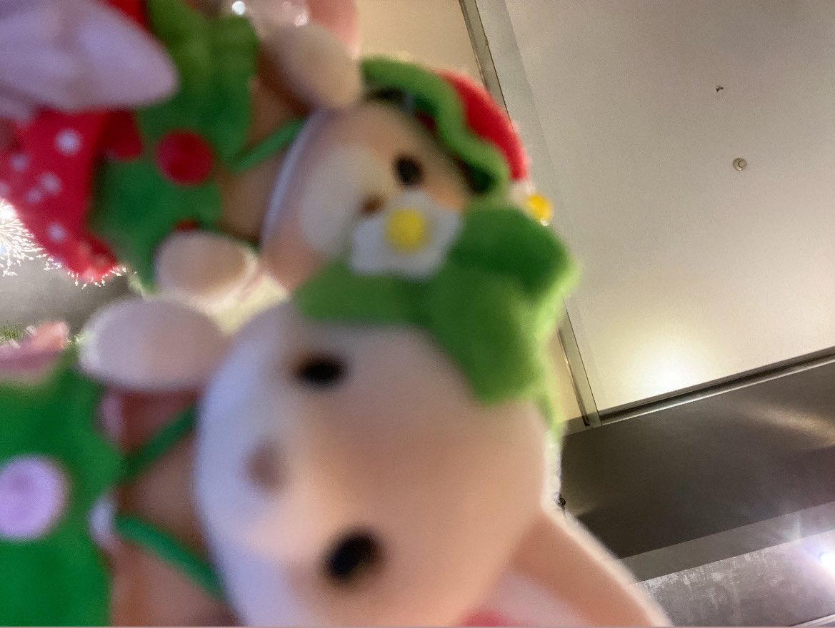 🐻‍❄️🍒 tweet media