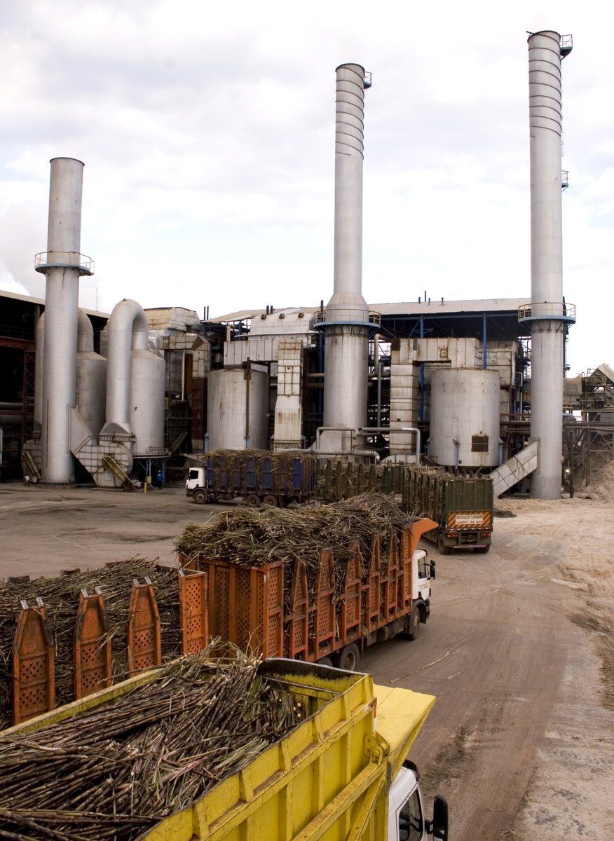 Sugaronline tweet media