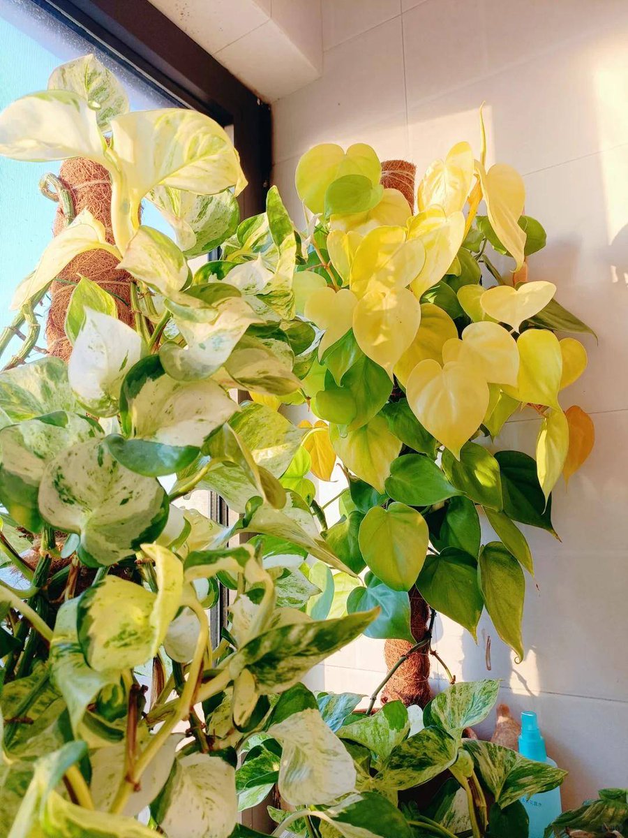 Jenna Baldwin tweet media