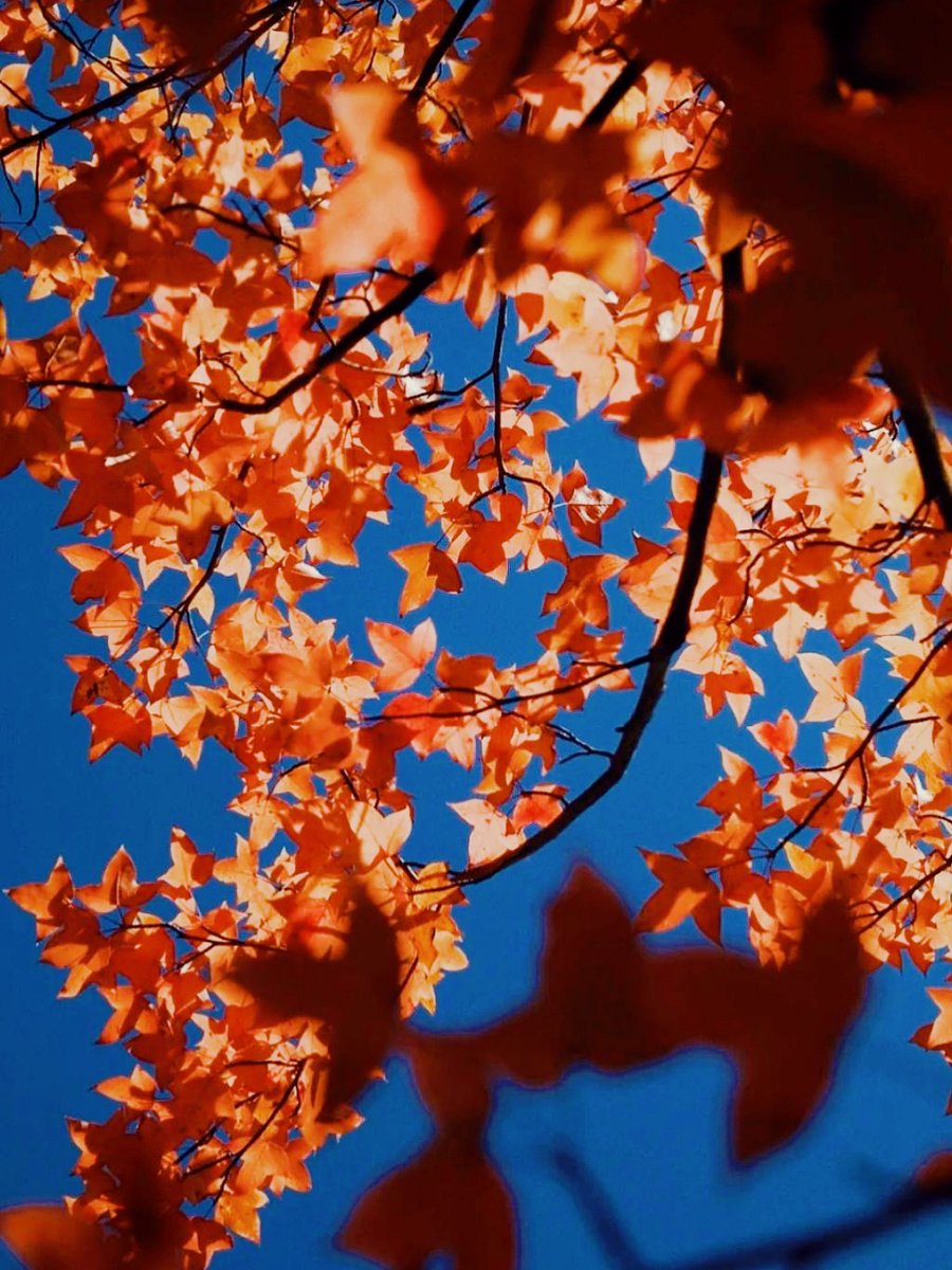 Mariana  tweet media