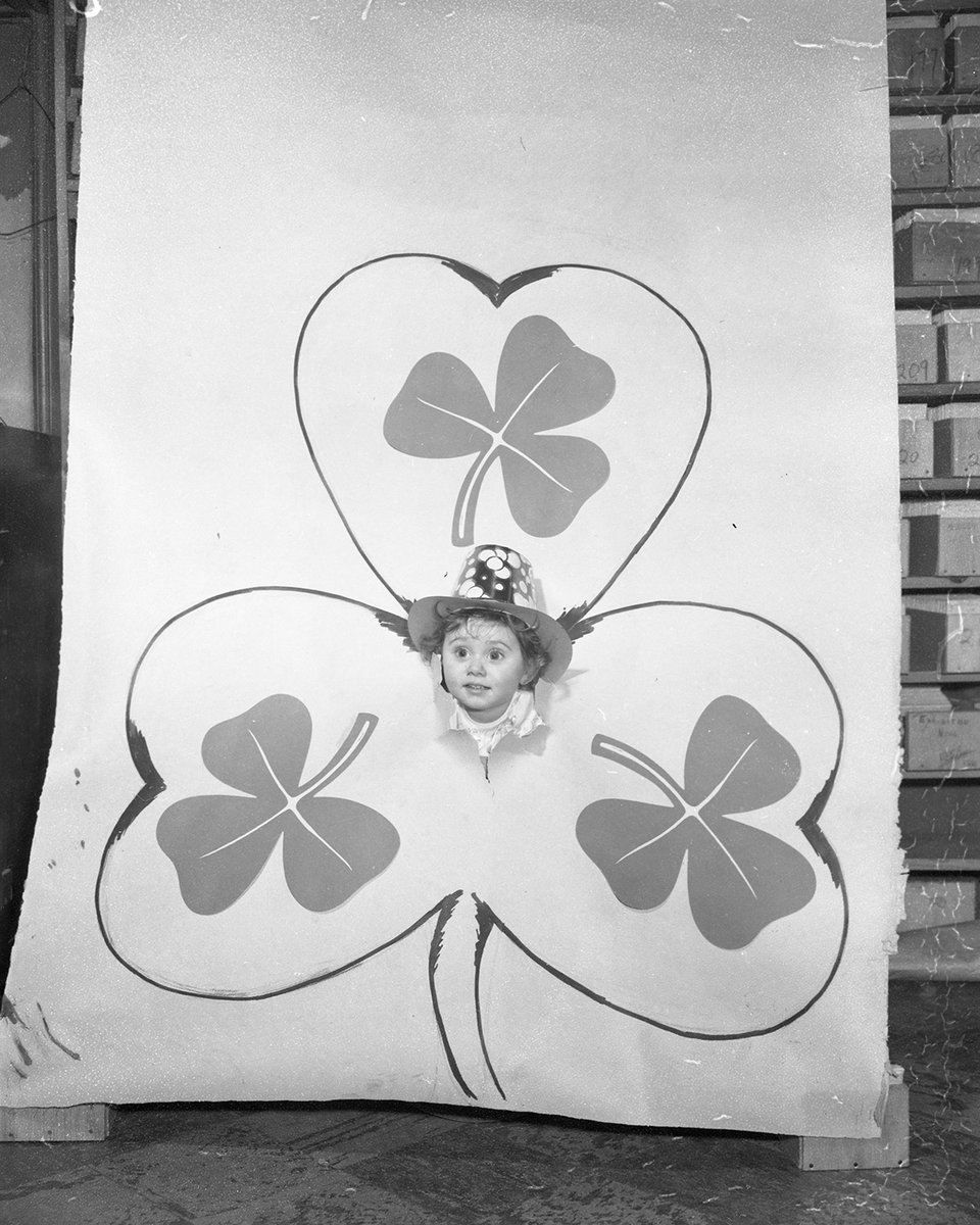 Mark Sutcliffe tweet media