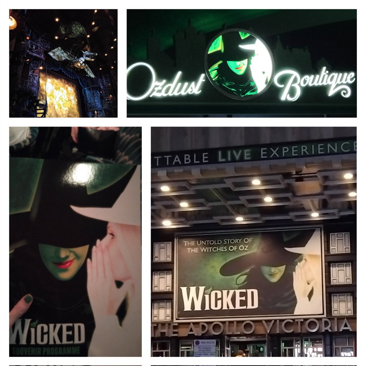 Mrs Howes 🌿 tweet media