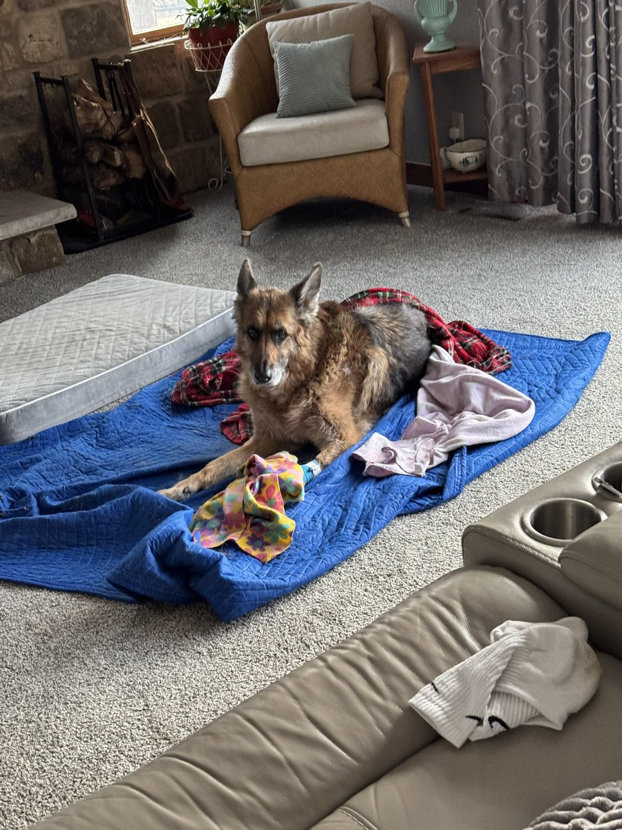 Light❌i❌g McQuee❌ ⚡️ tweet media