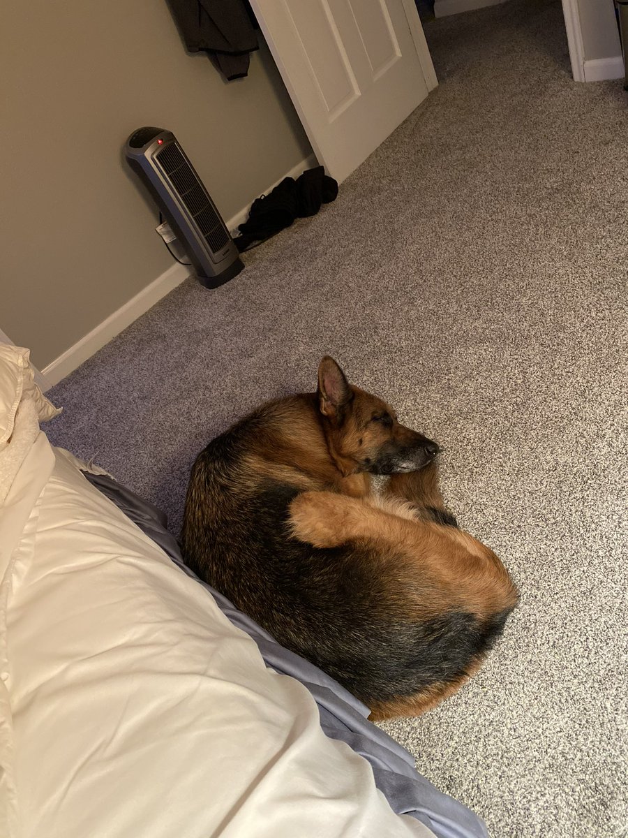 Light❌i❌g McQuee❌ ⚡️ tweet media