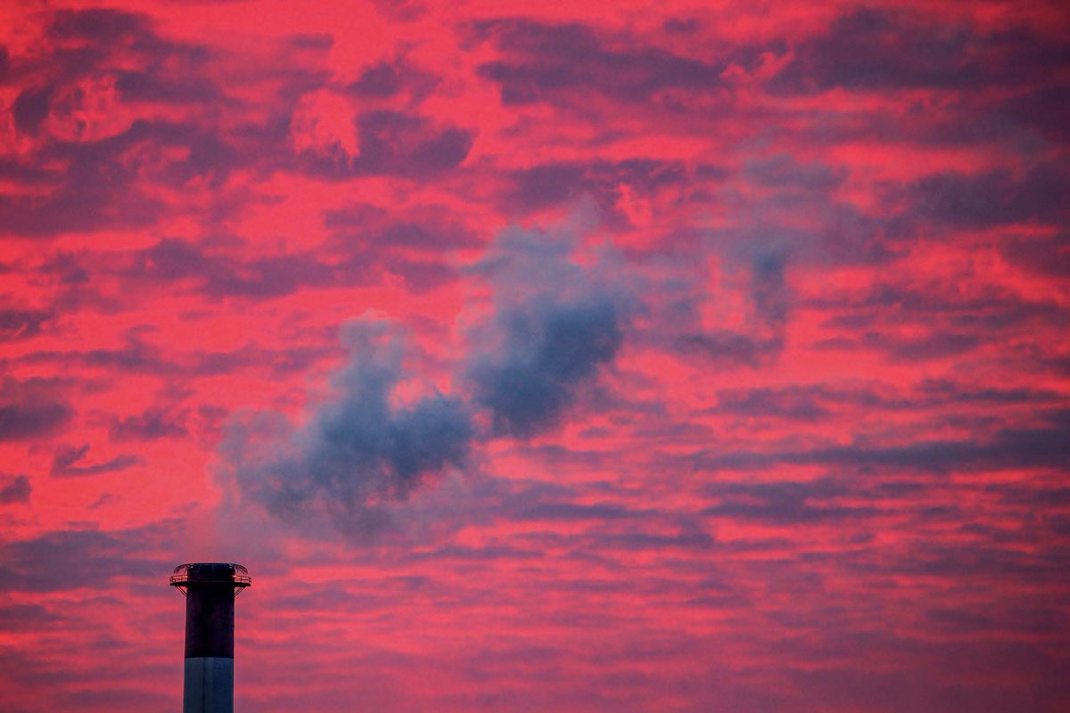 Jason Bishara tweet media