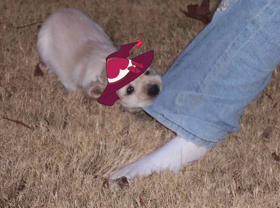 Gumi 💗🐾 Lovecore Labrador Vtuber tweet media