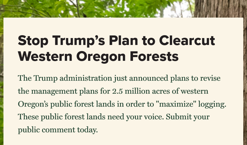 GO GREEN tweet media