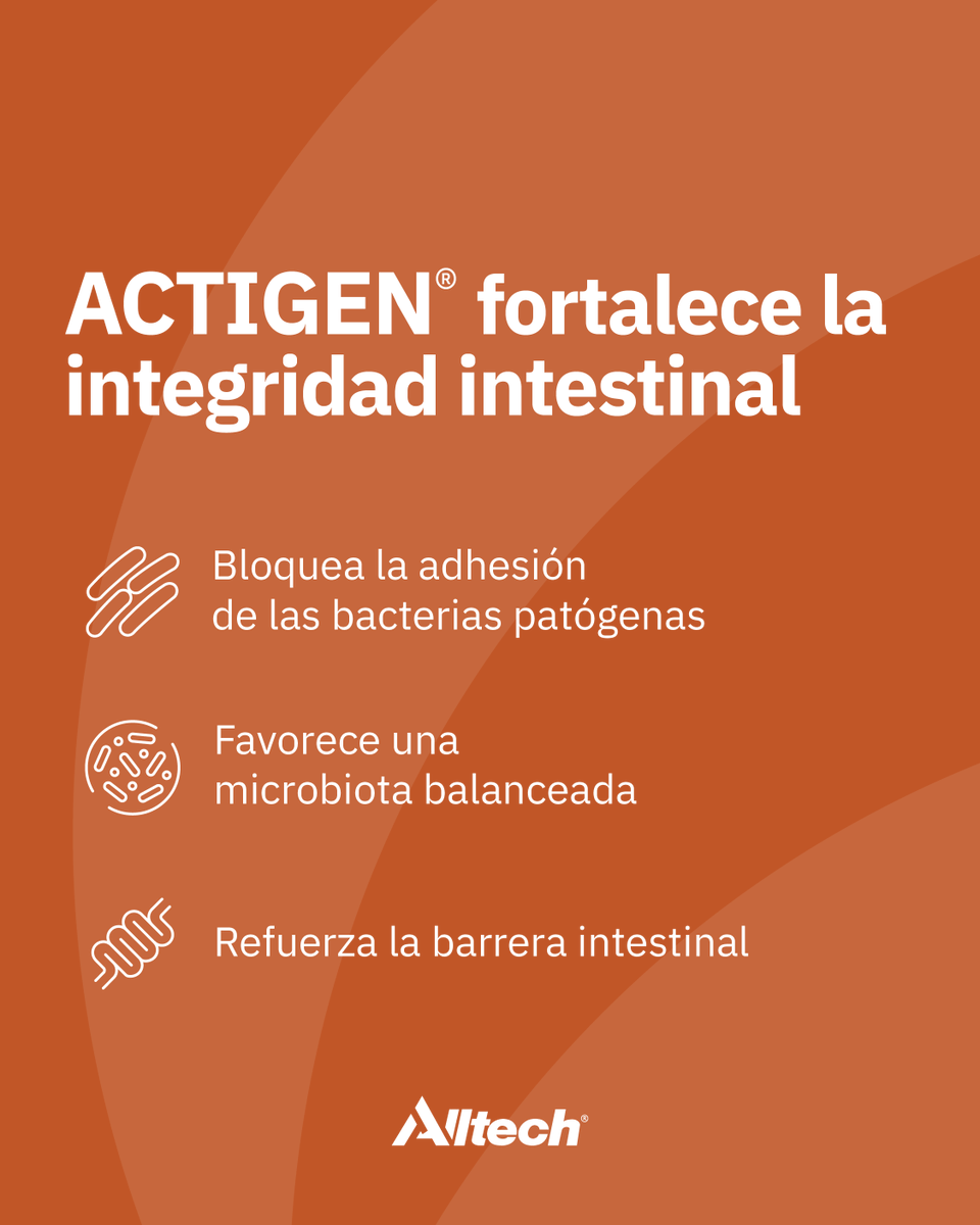 Alltech Latinomérica tweet media