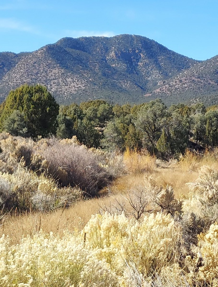 Wesley Buist tweet media