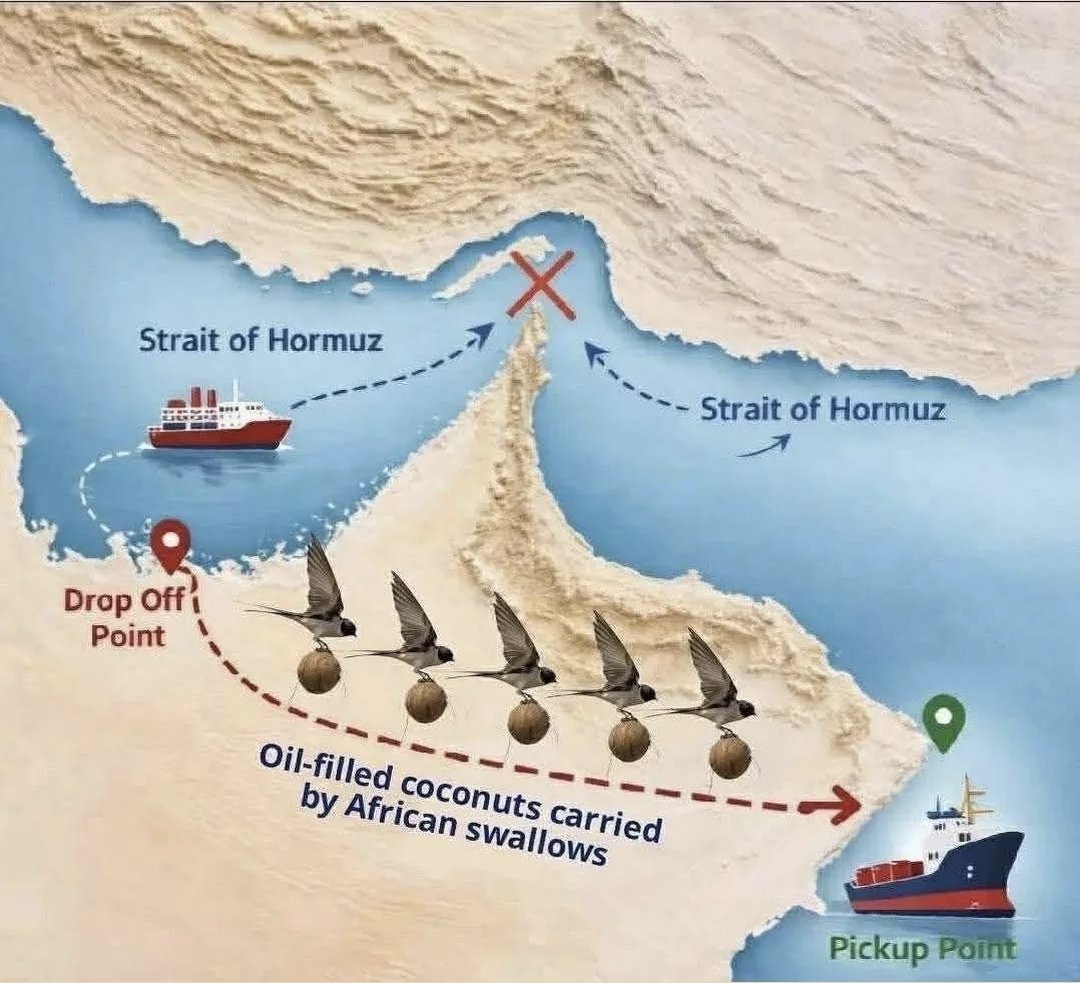 Kate ✨️ tweet media