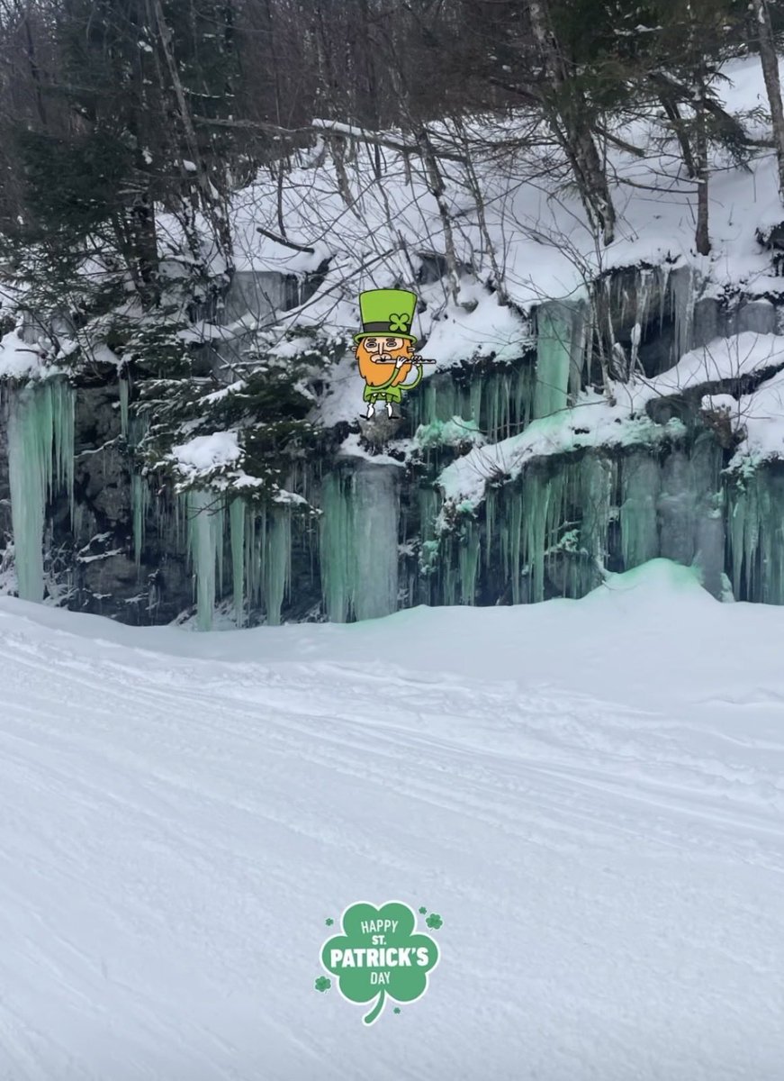 Magic Mountain tweet media