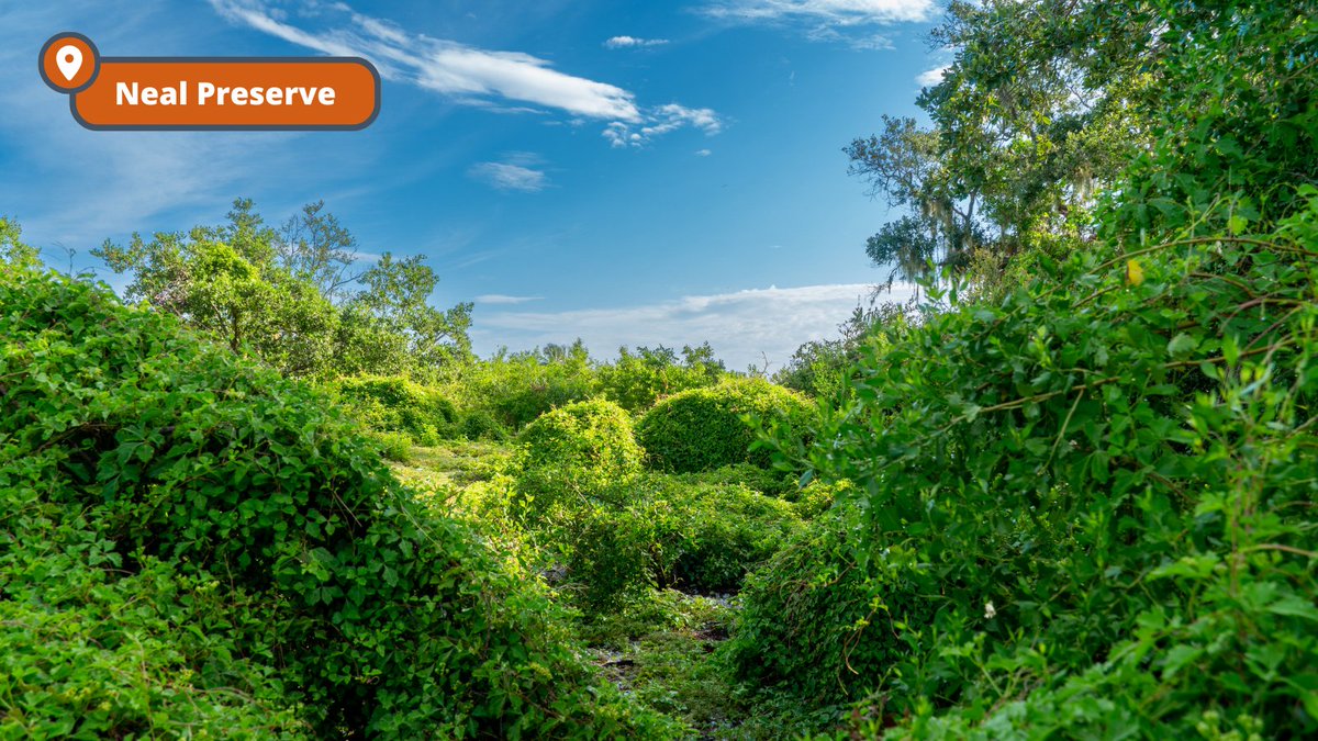 Manatee County Government tweet media