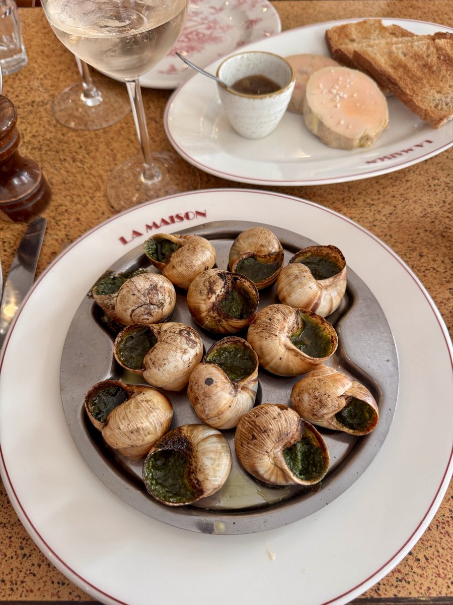 Jungle Rock tweet media