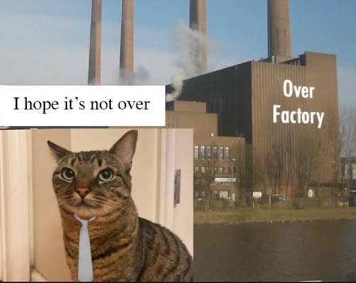 🍵Yo Soy Elly🍵 tweet media