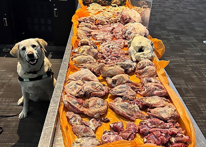 6ixBuzzTV tweet media