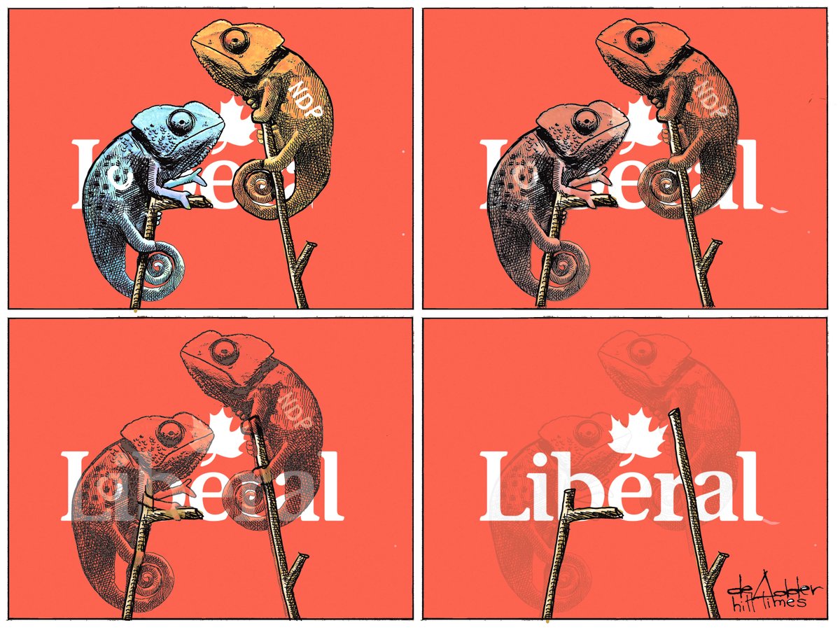 de Adder Canada tweet media