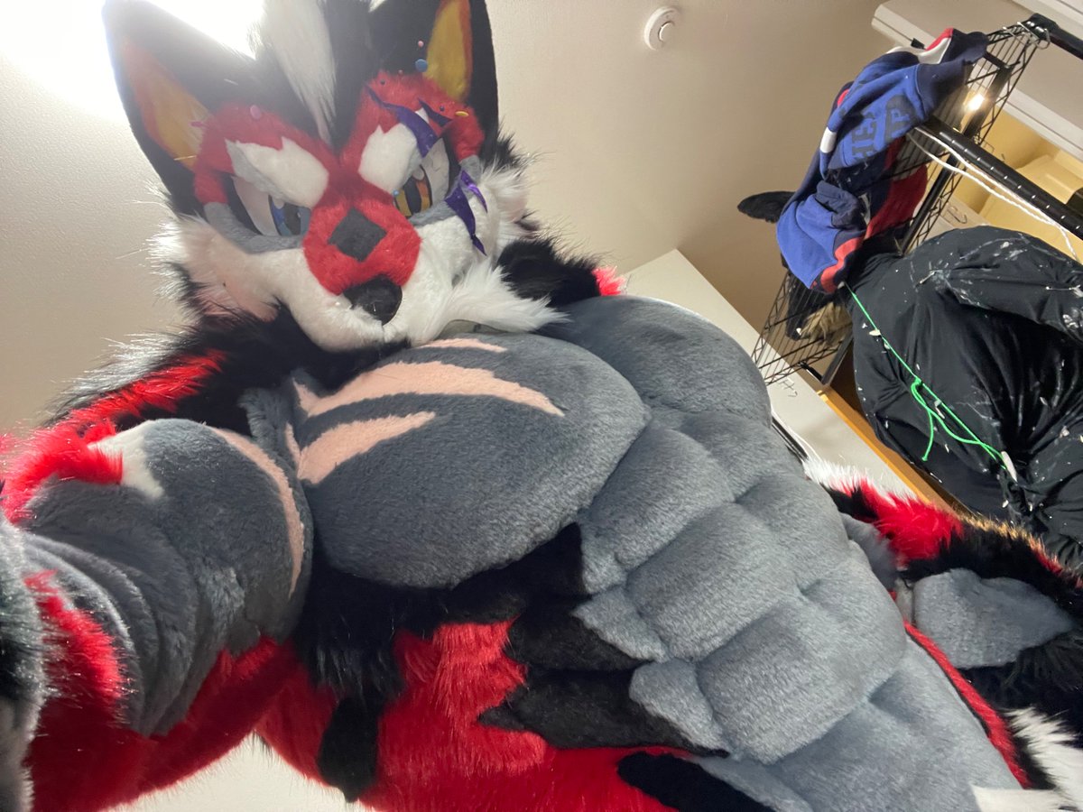 のぎす(Nogisu) ✈️FurstClass☕🐕 tweet media