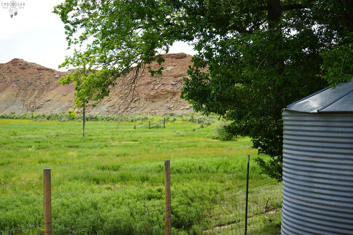 Chris Bartel tweet media