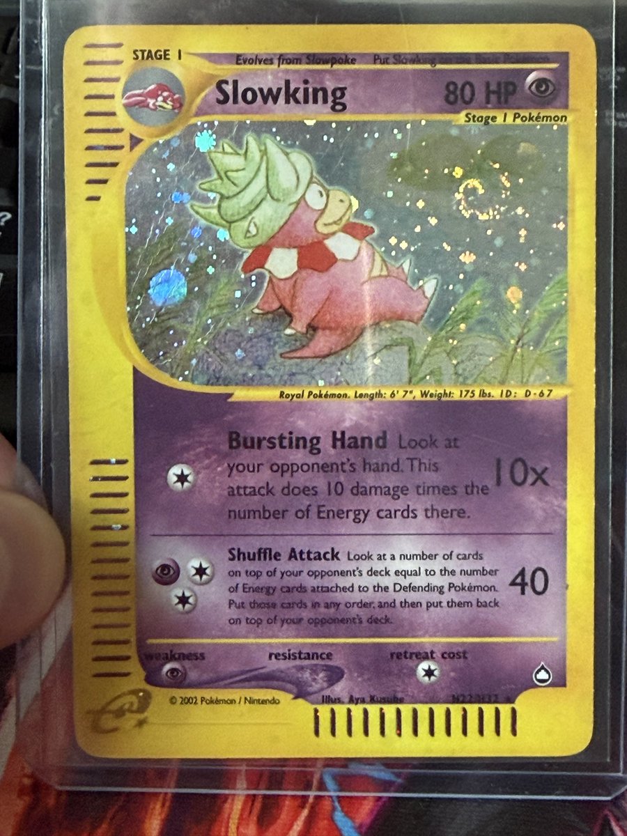 Totodile King tweet media