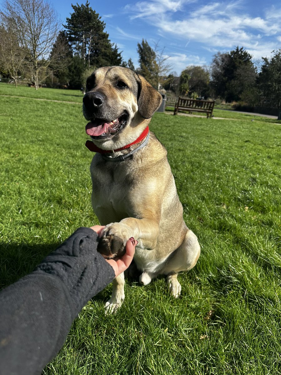 Maria Ramos tweet media