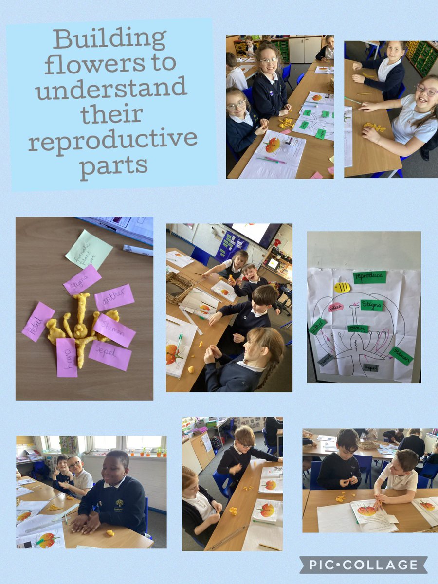 Egremont Year 3/4 tweet media