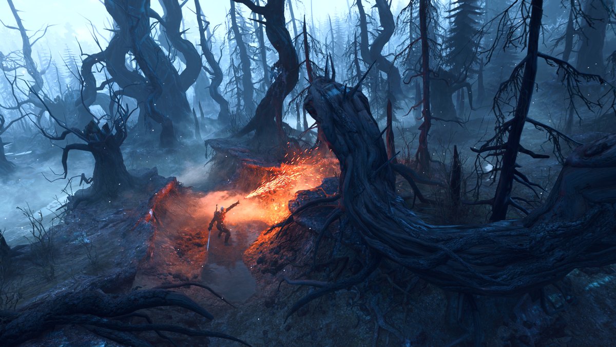 Disco 🌿🔦 tweet media