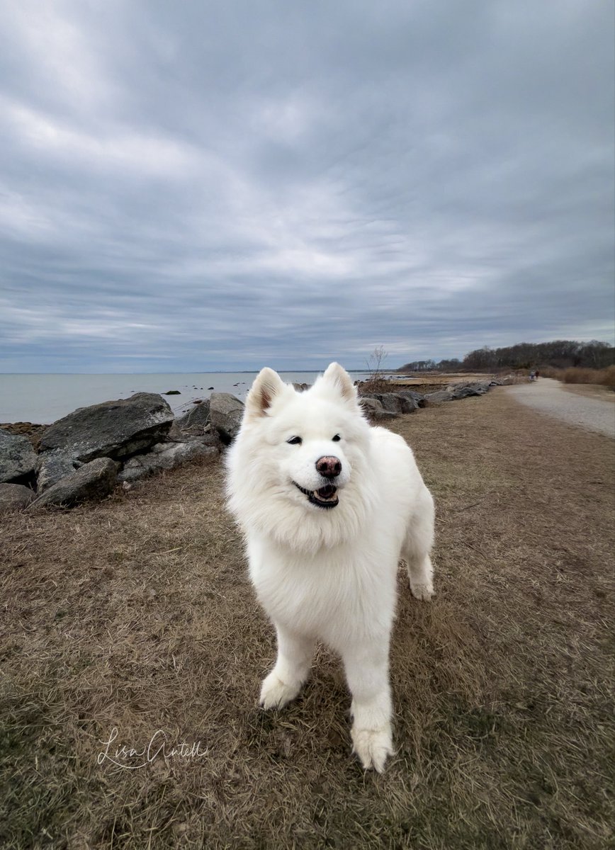 Skye Doogie tweet media