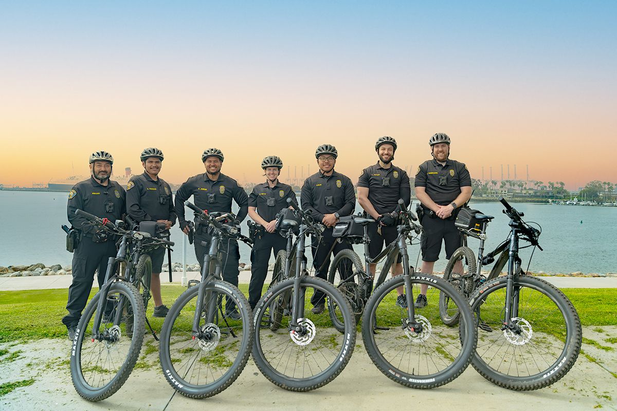 Beachcomber tweet media