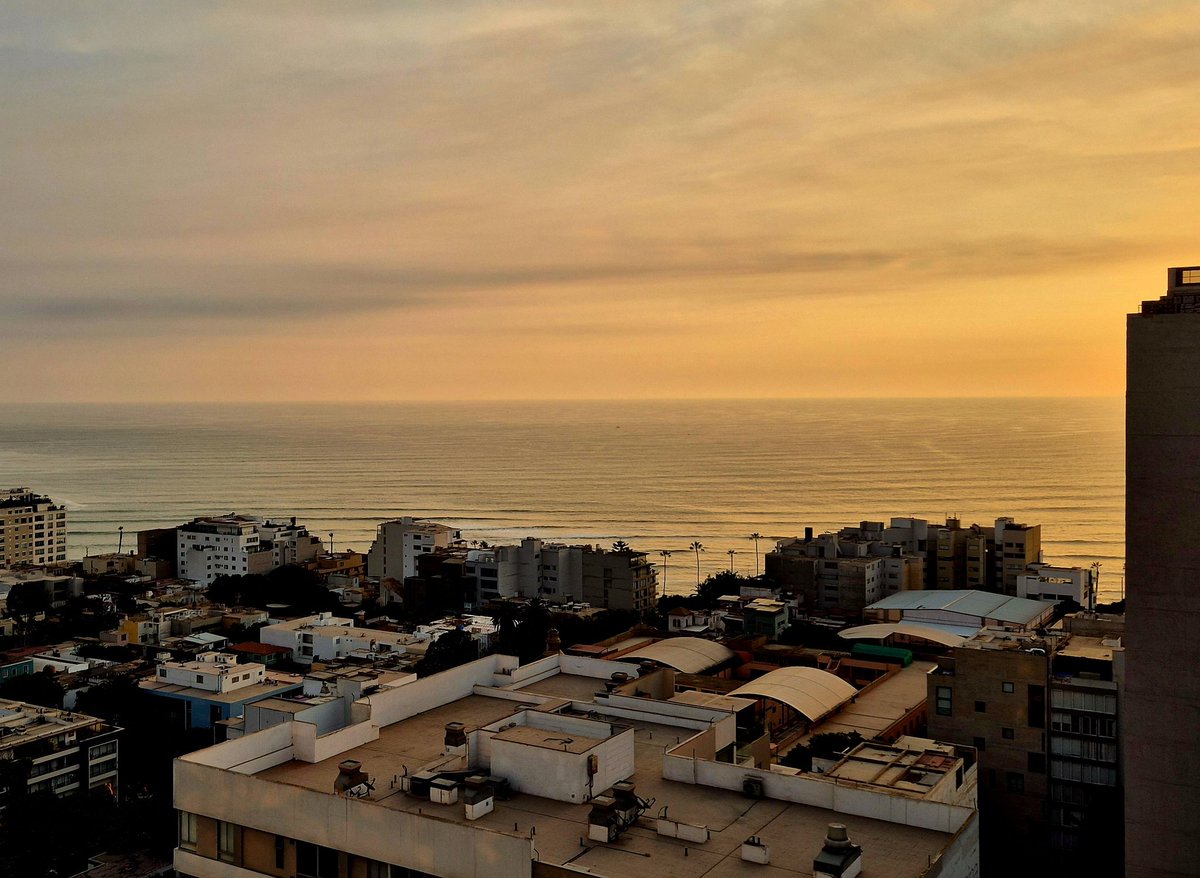 Tom 🦘 tweet media